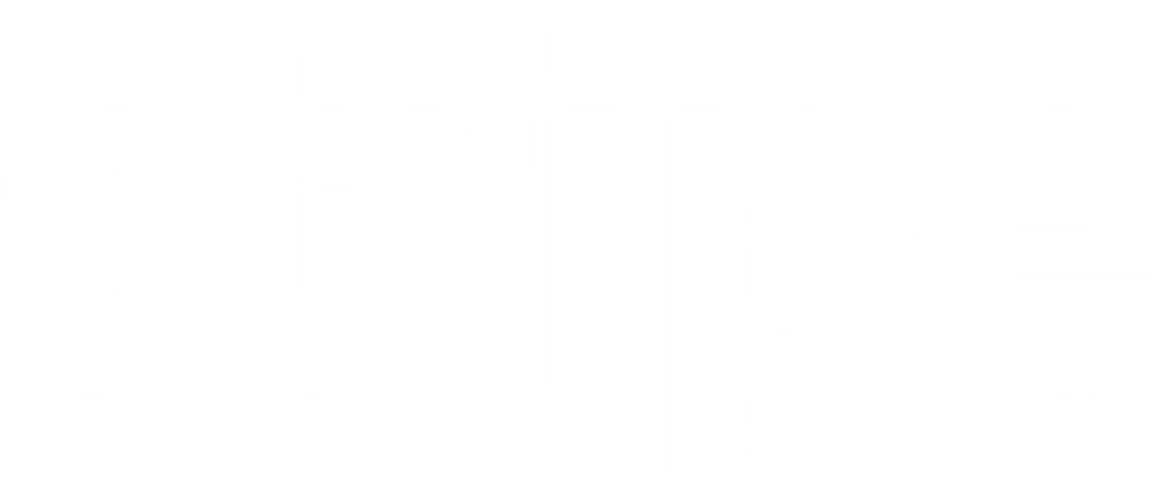 Carmen Ansio company logo