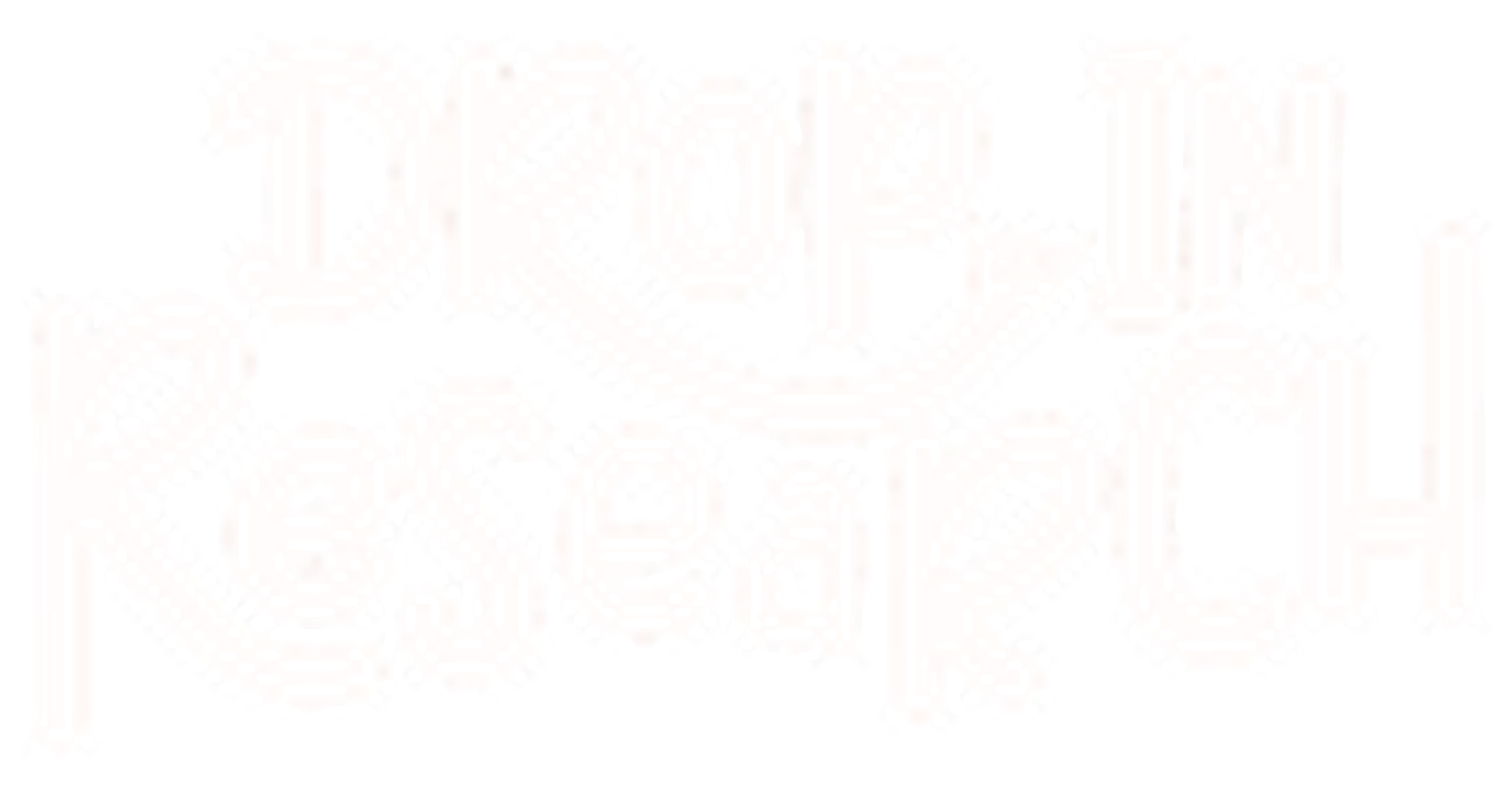 Nikki Anderson company logo